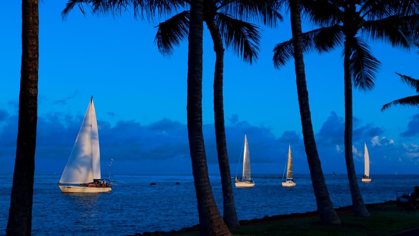 পুনর্বাসন সহায়তার অধীনে ত্রায়তার অধীনে ত্রাণ বিতরণ